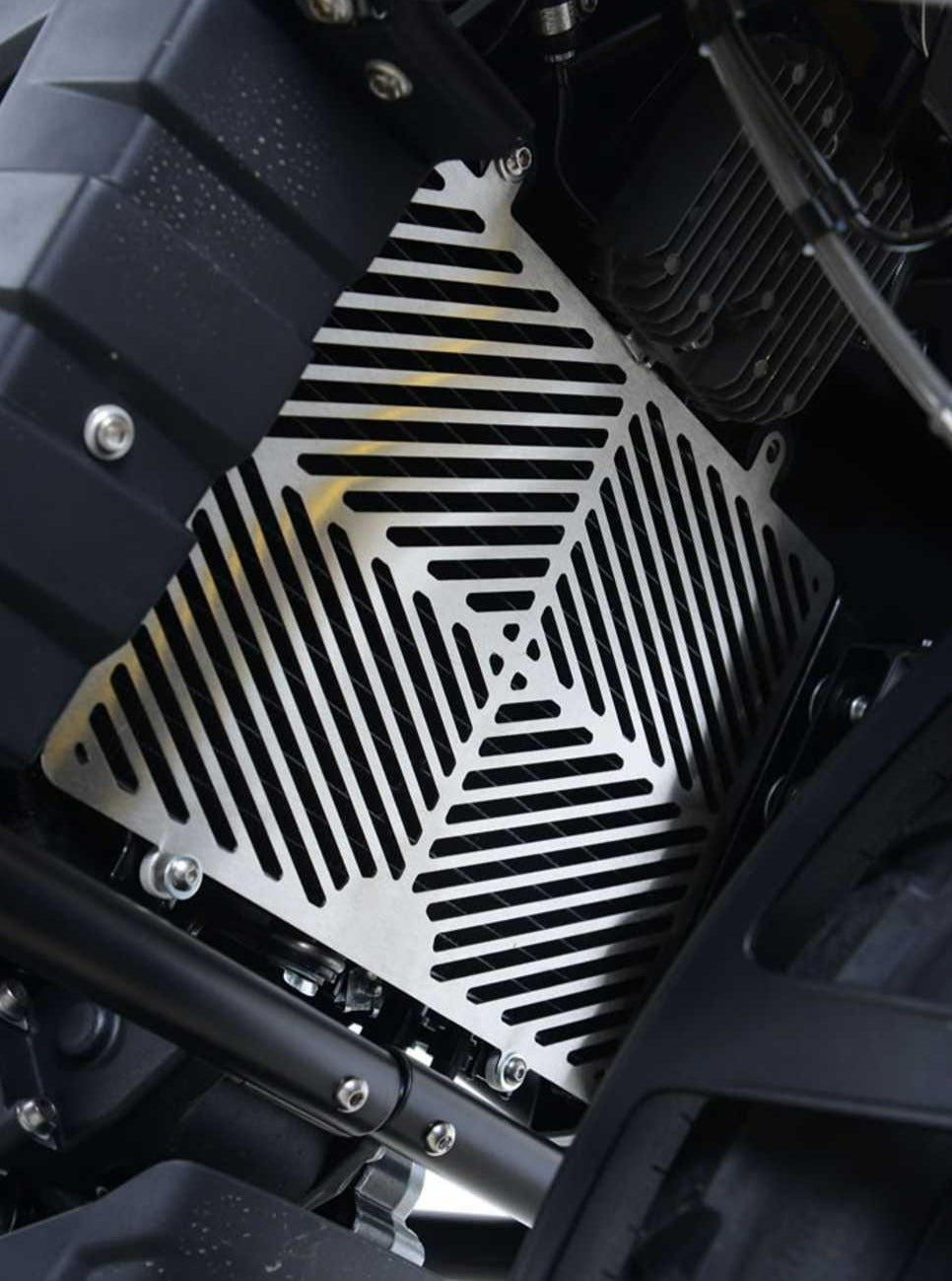 SRG0054 - R&G RACING BMW G310R / G310GS (2017+) Radiator Guard (steel)