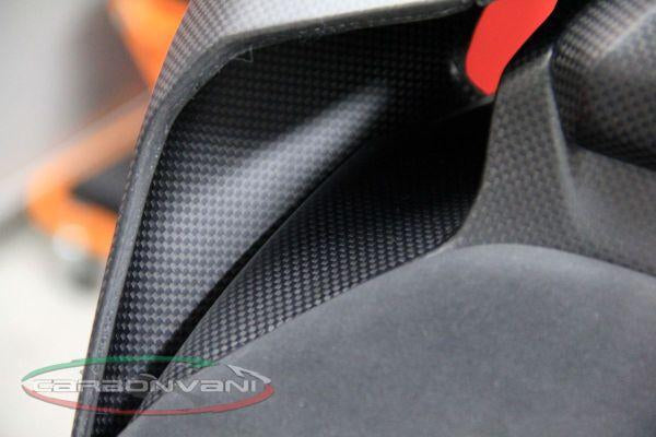 CARBONVANI Ducati Panigale 959 Carbon Tail (5 pcs kit)
