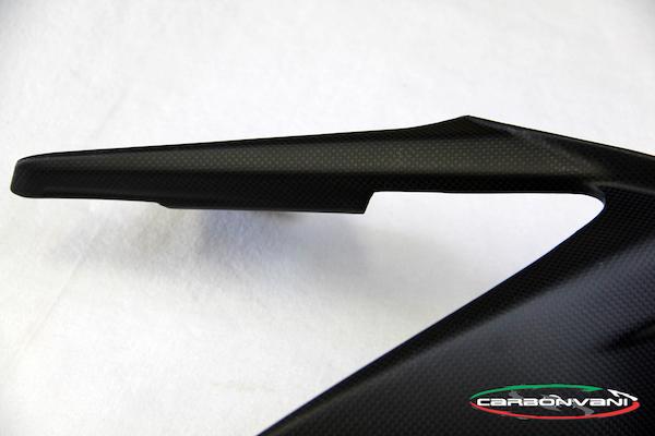 CARBONVANI Ducati Panigale V4 (2018+) Carbon Rear Hugger