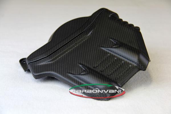 CARBONVANI Ducati Streetfighter V4 (2020+) Carbon Cylinder Covers Kit