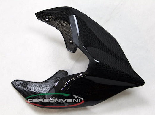 CARBONVANI Ducati Panigale V4 (2018+) Carbon Tail (street version; black)