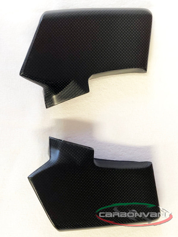 CARBONVANI Ducati Streetfighter V4 (2020+) Carbon Winglets Kit