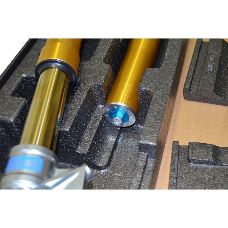 FGRT231 - ÖHLINS Ducati Panigale Front Fork (Road & Track; Upside Down)