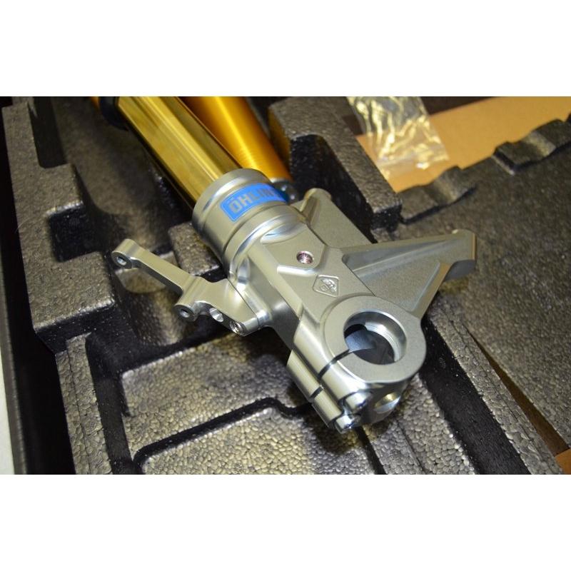 FGRT231 - ÖHLINS Ducati Panigale Front Fork (Road & Track; Upside Down)