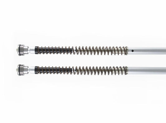 FKA112 - ÖHLINS Triumph Scrambler 1200 XC (19/22) Front Fork Cartridge Kit