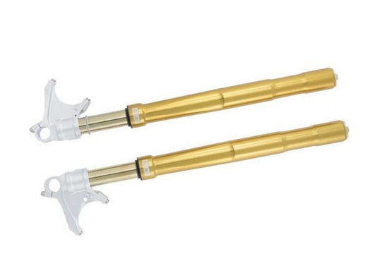 FGRT224 - ÖHLINS Suzuki GSX-R1000 / 1000R (2017+ ) Front Fork (Upside Down)