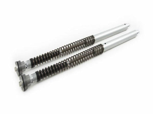 FKA101 - ÖHLINS BMW F800GS (08/12) Front Fork Cartridge Kit