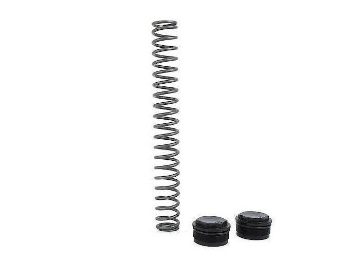 FSK113 - ÖHLINS Ducati Scrambler 800 (15/21) Fork Springs Kit (Road & Track; FSK)