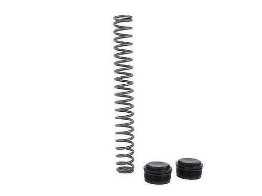 FSK113 - ÖHLINS Ducati Scrambler 800 (15/21) Fork Springs Kit (Road & Track; FSK)