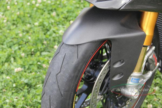 CARBONVANI Ducati Panigale (12/19) Carbon Front Fender