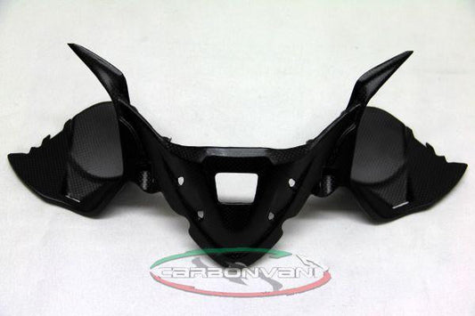 CARBONVANI Ducati Panigale 959 / 1299 Carbon Instrument Cover